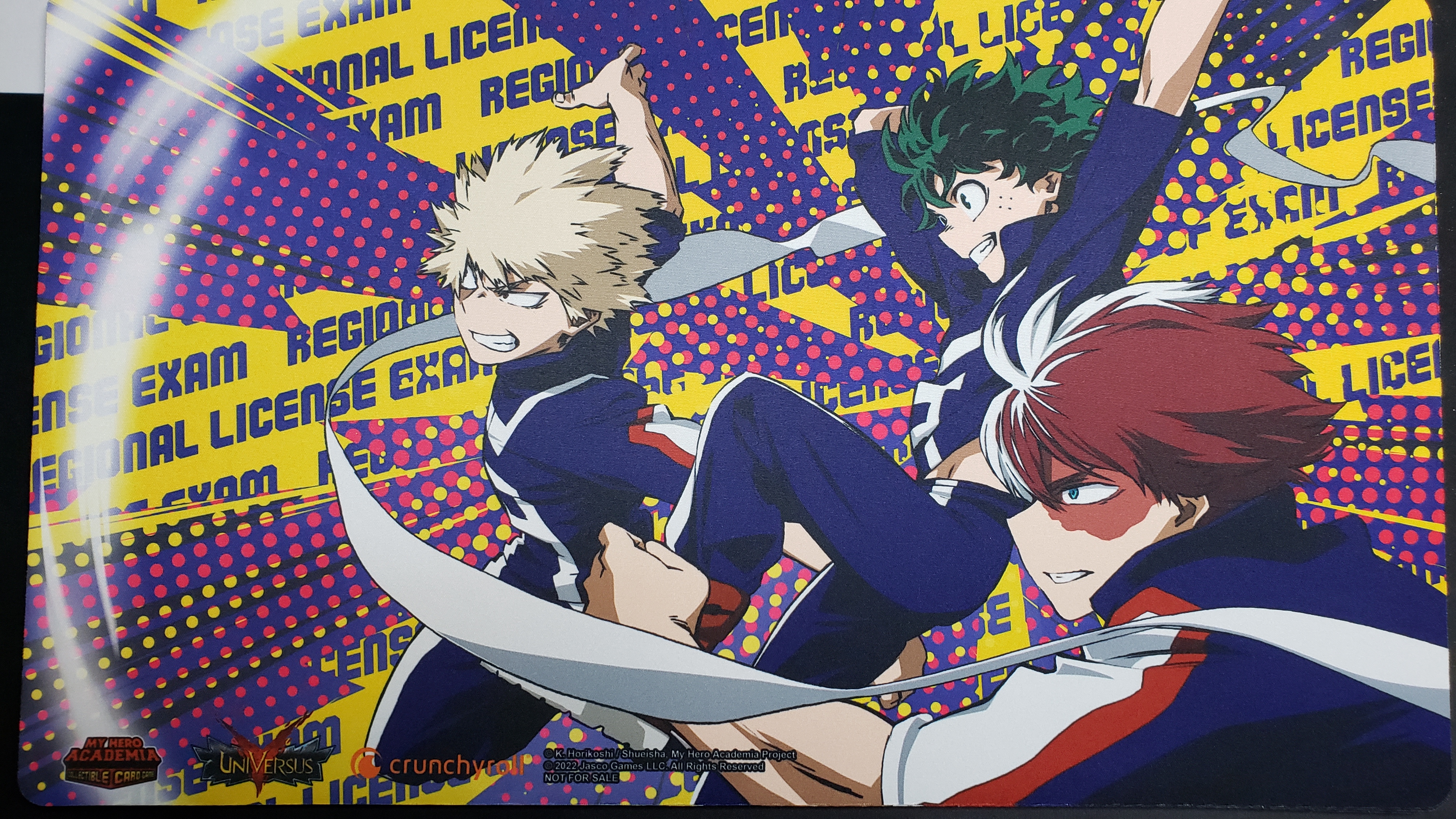 Regional License Exam 3 Play Mat